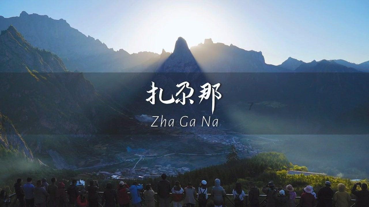 小猫钓鱼正版下载中文版